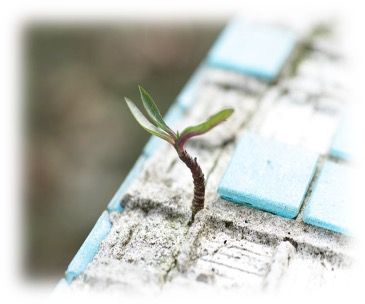 /website/assets/images/my1/images/61a4d2b78e295__6.jpg